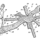 Illustration for article titled The Meticulous Engineering Behind Your Neighbor's Fake Lawn